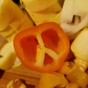 Meet your Posher, Shelby